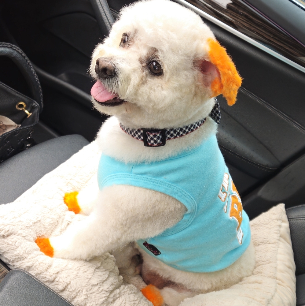 Not selling, just shopping with My PoshPup